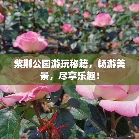 紫荊公園游玩秘籍，暢游美景，盡享樂趣！