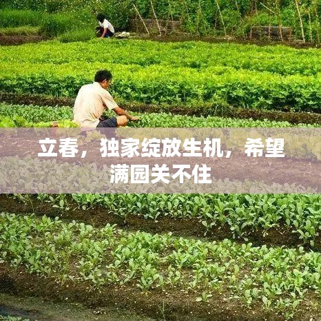 立春，獨(dú)家綻放生機(jī)，希望滿園關(guān)不住