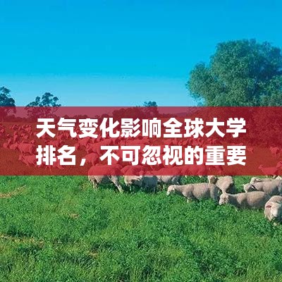 天氣變化影響全球大學排名，不可忽視的重要因素！