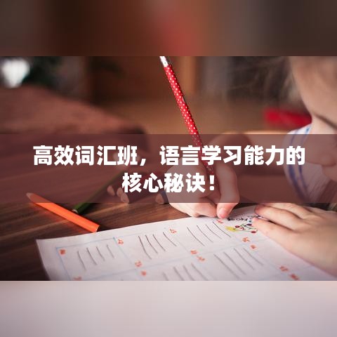 高效詞匯班，語言學習能力的核心秘訣！