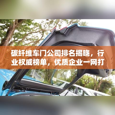 碳纖維車(chē)門(mén)公司排名揭曉，行業(yè)權(quán)威榜單，優(yōu)質(zhì)企業(yè)一網(wǎng)打盡！