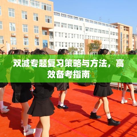 雙減專題復習策略與方法，高效備考指南