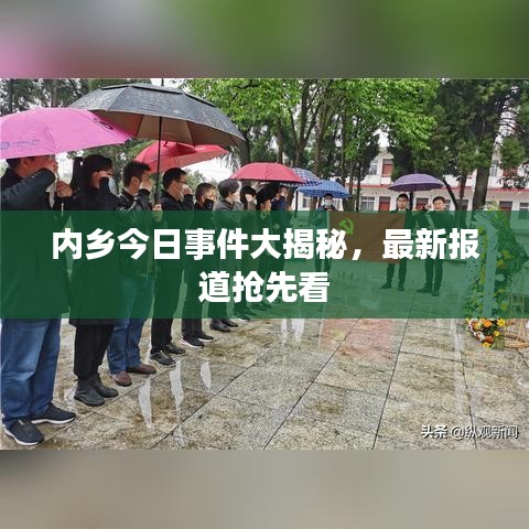 內(nèi)鄉(xiāng)今日事件大揭秘，最新報道搶先看