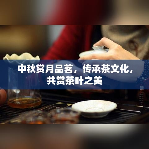 中秋賞月品茗，傳承茶文化，共賞茶葉之美