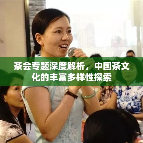 茶會(huì)專題深度解析，中國(guó)茶文化的豐富多樣性探索