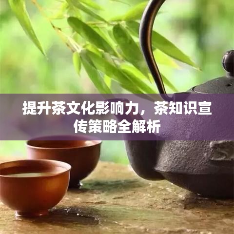 提升茶文化影響力，茶知識宣傳策略全解析