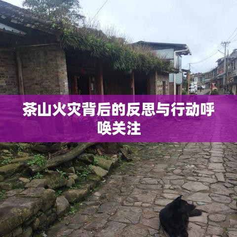 茶山火災(zāi)背后的反思與行動(dòng)呼喚關(guān)注