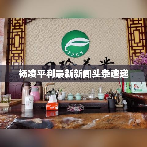 楊凌平利最新新聞頭條速遞