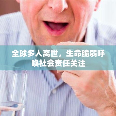 全球多人離世，生命脆弱呼喚社會責(zé)任關(guān)注