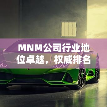 MNM公司行業(yè)地位卓越，權(quán)威排名揭曉！