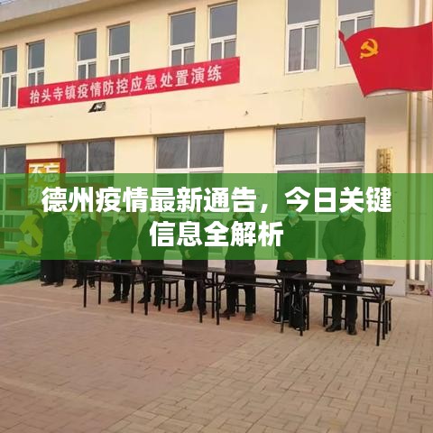 德州疫情最新通告，今日關(guān)鍵信息全解析