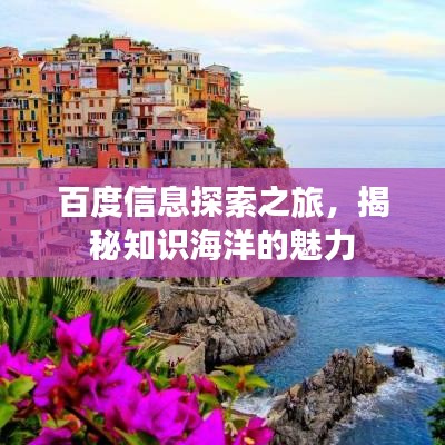 百度信息探索之旅，揭秘知識(shí)海洋的魅力