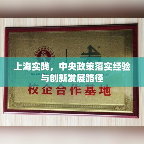 上海實(shí)踐，中央政策落實(shí)經(jīng)驗(yàn)與創(chuàng)新發(fā)展路徑