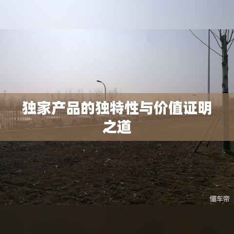 獨家產(chǎn)品的獨特性與價值證明之道