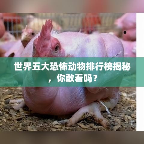 世界五大恐怖動物排行榜揭秘，你敢看嗎？