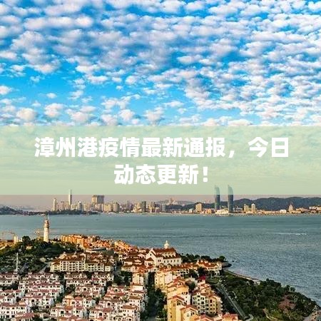 漳州港疫情最新通報，今日動態(tài)更新！