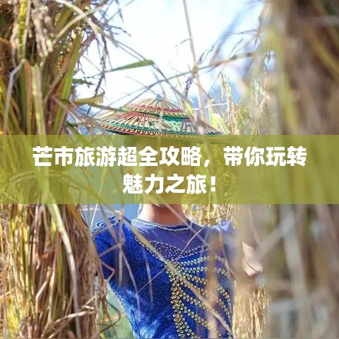 芒市旅游超全攻略，帶你玩轉魅力之旅！