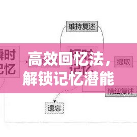 高效回憶法，解鎖記憶潛能，提升記憶力