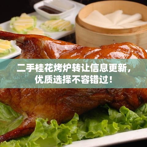 二手桂花烤爐轉(zhuǎn)讓信息更新，優(yōu)質(zhì)選擇不容錯過！