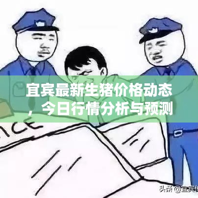 宜賓最新生豬價(jià)格動(dòng)態(tài)，今日行情分析與預(yù)測(cè)