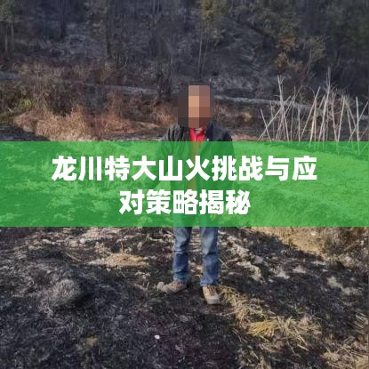 龍川特大山火挑戰(zhàn)與應對策略揭秘