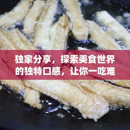 獨(dú)家分享，探索美食世界的獨(dú)特口感，讓你一吃難忘！