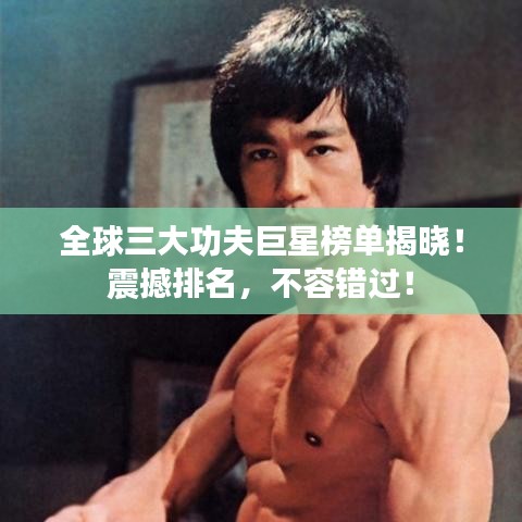 全球三大功夫巨星榜單揭曉！震撼排名，不容錯(cuò)過(guò)！