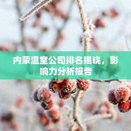 內(nèi)蒙溫室公司排名揭曉，影響力分析報(bào)告