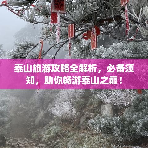 泰山旅游攻略全解析，必備須知，助你暢游泰山之巔！
