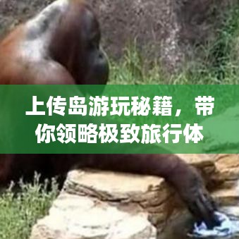 上傳島游玩秘籍，帶你領略極致旅行體驗！