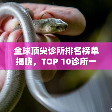 全球頂尖診所排名榜單揭曉，TOP 10診所一覽無(wú)余！