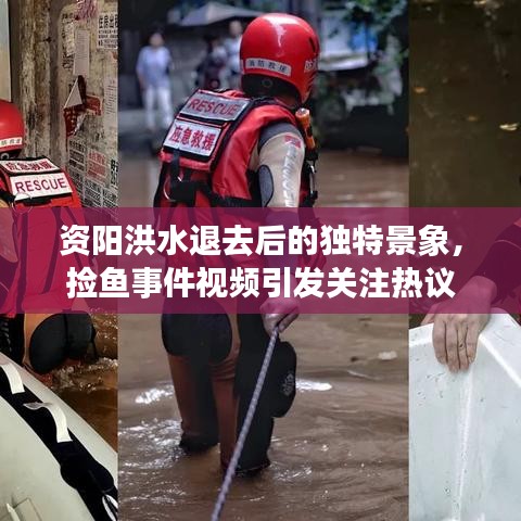 資陽(yáng)洪水退去后的獨(dú)特景象，撿魚(yú)事件視頻引發(fā)關(guān)注熱議